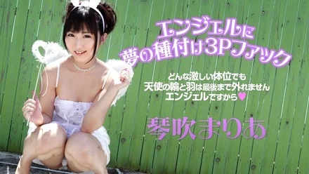 Caribbeancom-112714-745