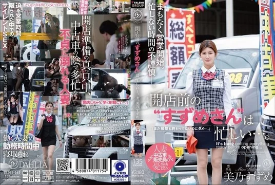 DLDSS-563